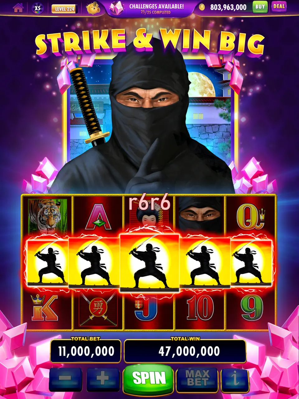 Tangkapan Layar r6r6